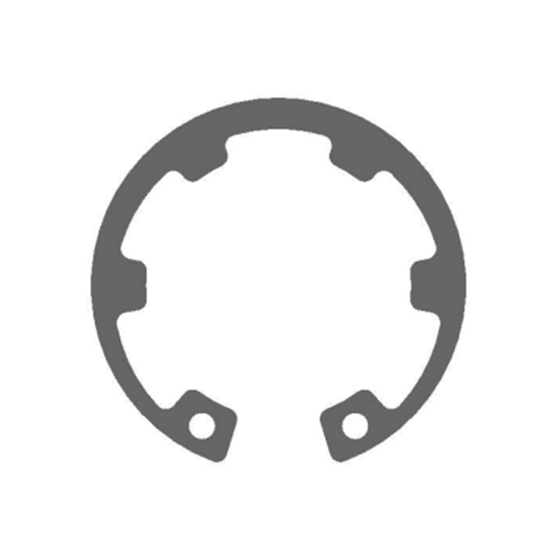 Internal Retaining Rings with Internal Tooth-DIN984